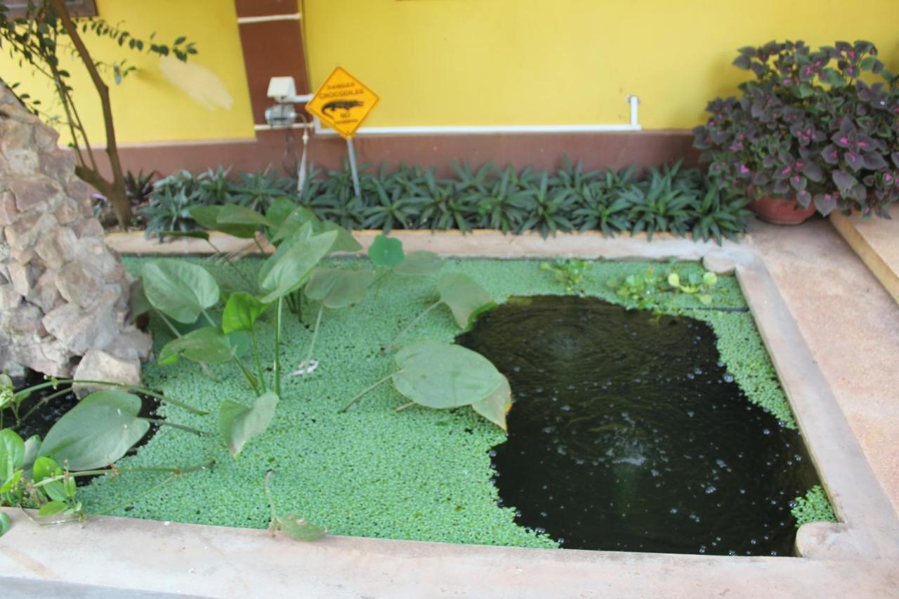 Mango Villa Siem Reap Exterior photo